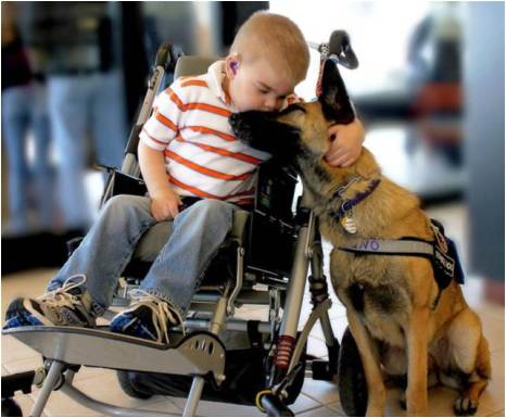 Can-Do-Ability: Rescue Dog Shows Gratitude To Her New Family And Their Disabled Son