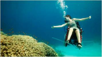 Can-Do-Ability: Sue Austin flies underwater in her wheelchair